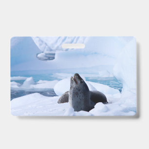 Leopard Seal ID Badge