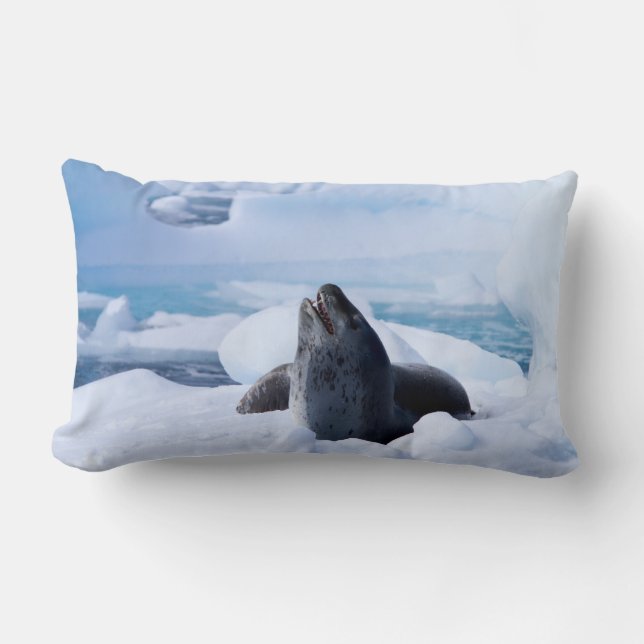 Leopard Seal Lumbar Cushion (Front)