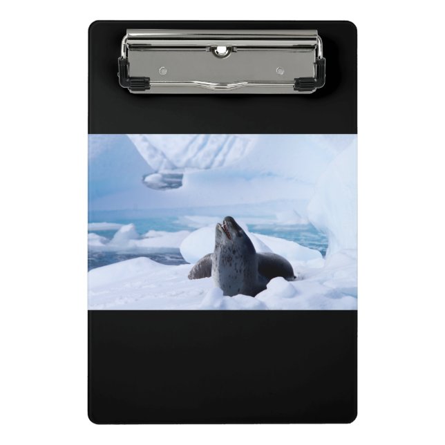Leopard Seal Mini Clipboard (Front)