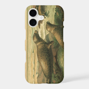 Leopard Seals, Vintage Aquatic Animals Marine Life