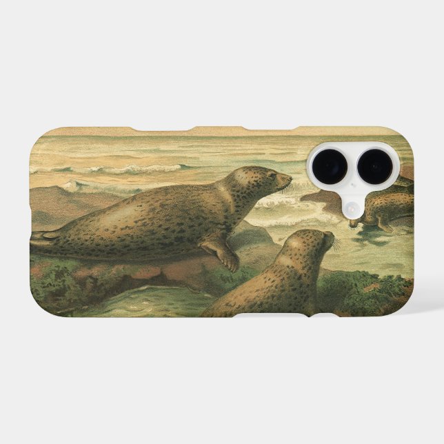 Leopard Seals, Vintage Aquatic Animals Marine Life (Back (Horizontal))