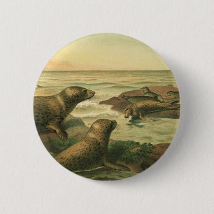 Leopard Seals, Vintage Aquatic Animals Marine Life 6 Cm Round Badge