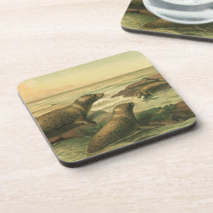 Leopard Seals, Vintage Aquatic Animals Marine Life Coaster