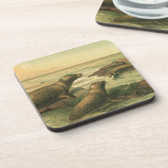 Leopard Seals, Vintage Aquatic Animals Marine Life Coaster (Left Side)