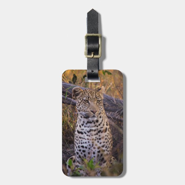 Leopard sitting, Botswana, Africa Luggage Tag (Front Vertical)