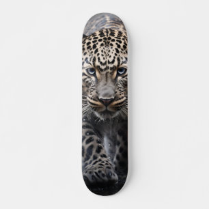 Leopard Skateboard Walking with Fixed Gaze
