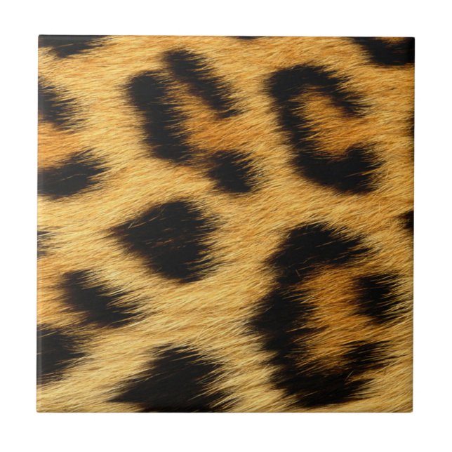 Leopard Skin Animal Print Tile (Front)