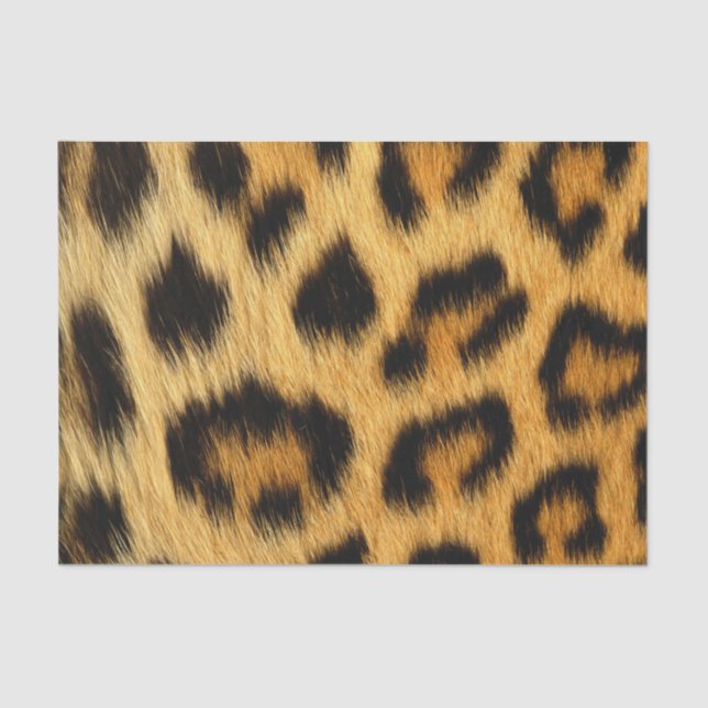 Leopard Skin Animal Print Tissue Paper (Front)