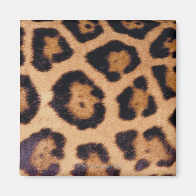 Leopard skin magnet (Front)