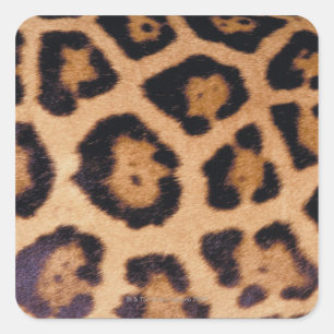 Leopard skin square sticker