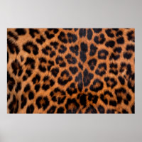 Leopard skin texture : Close-up leopard spot patte