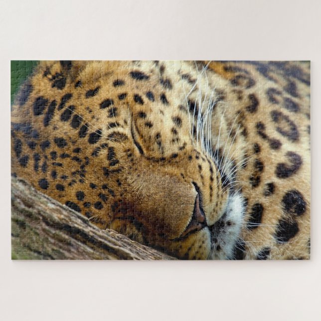 Leopard sleeping on a log jigsaw puzzle (Horizontal)