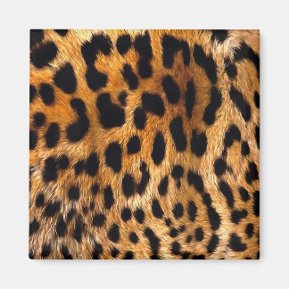 Leopard Spots Black Brown Wild Animal Fine Art Magnet