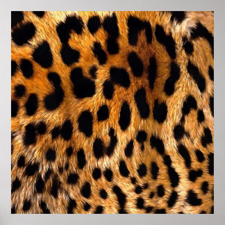 Leopard Spots Black Brown Wild Animal Fine Art Poster