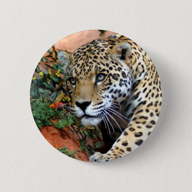 Leopard Stalking Macro 6 Cm Round Badge (Front)
