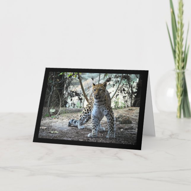 Leopard Stance Portrait Card (Front)
