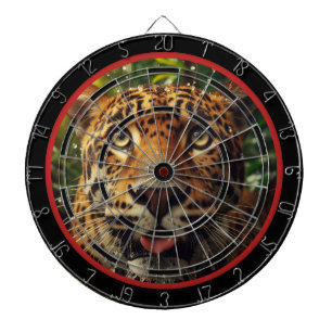 Leopard Stares While in Jungle Regulation Dartboard