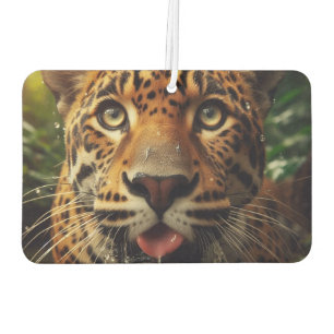 Leopard Stares While Lapping Water in Jungle Car Air Freshener