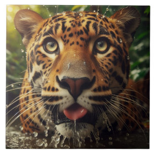 Leopard Stares While Lapping Water in Jungle Tile