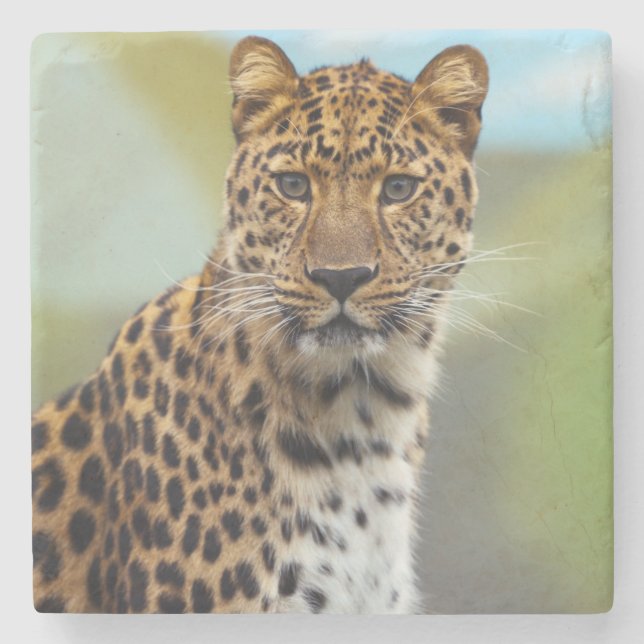 Leopard Stone Coaster (Front)