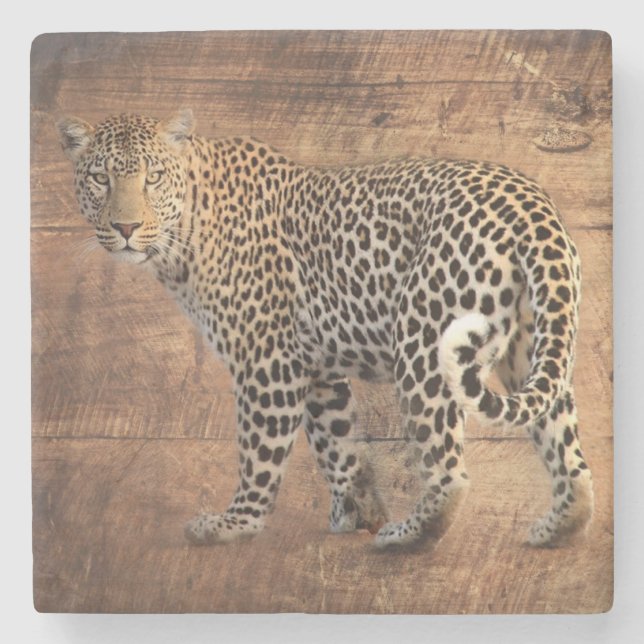 Leopard Stone Coaster (Front)