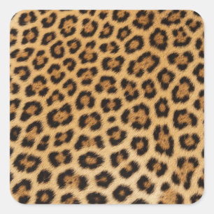 leopard texture fur skin leather animal  square sticker