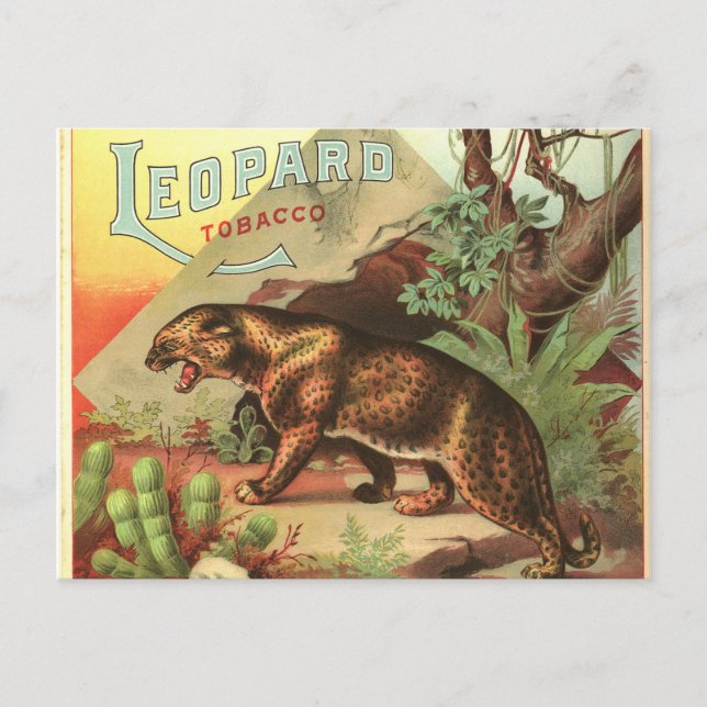 Leopard Tobacco 1900 Postcard (Front)