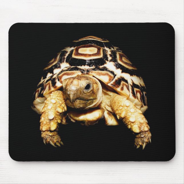 Leopard Tortoise Mousepad (Front)