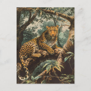 Leopard Vintage  Postcard