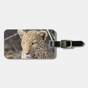 Leopard wildlife photography Africa Safari animal Luggage Tag