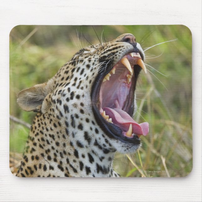 Leopard yawning, Greater Kruger National Park, 2 Mouse Mat (Front)