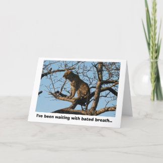 Leopard Yawns While Sitting on a Tree Limb Card