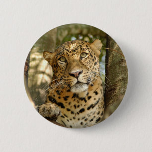 LeopardCheetaro013 6 Cm Round Badge
