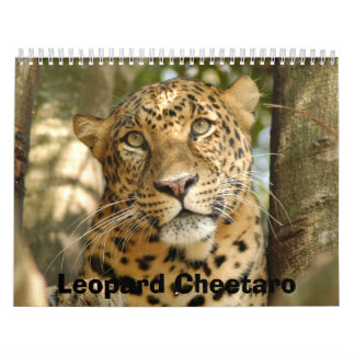 LeopardCheetaro013, Leopard Cheetaro Calendar