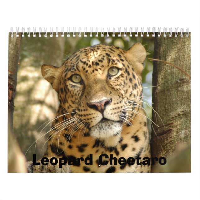 LeopardCheetaro013, Leopard Cheetaro Calendar (Cover)