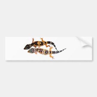Leopardgecko Pärchen Bumper Sticker