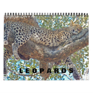 LEOPARDS - ALL LEOPARD CALENDAR