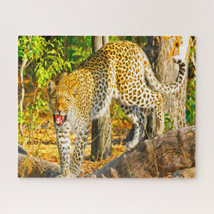 Leopards Big Cats. Jigsaw Puzzle