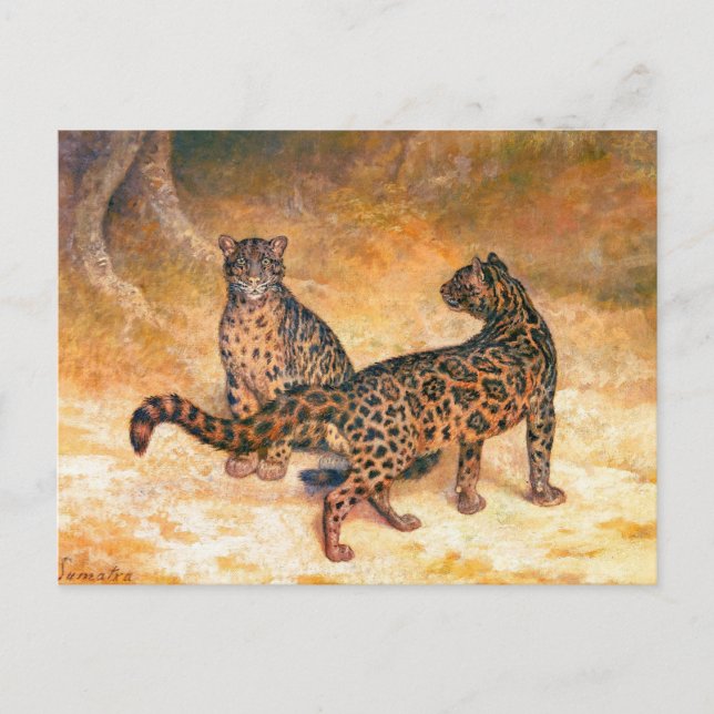 Leopards by Jacques-Laurent Agasse Postcard (Front)