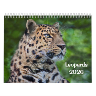 Leopards Calendar 2025