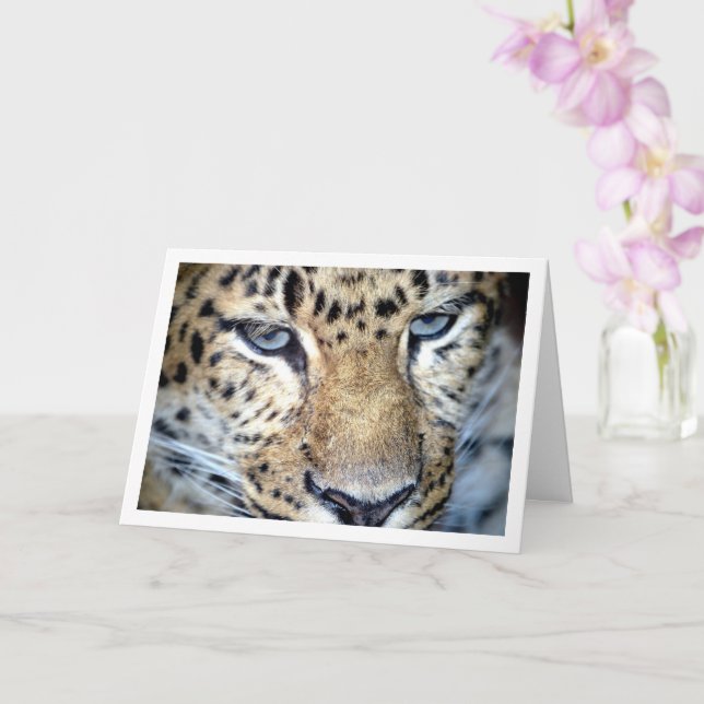 Leopard's Face Card (Orchid)