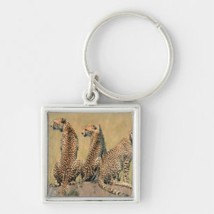 Leopards looking away key ring