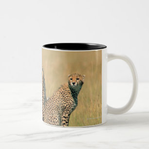 Leopards looking away Two-Tone coffee mug