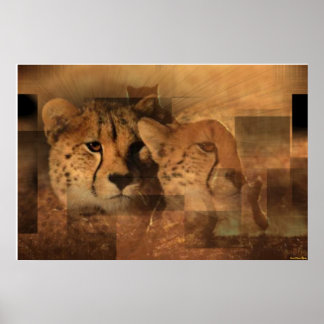 Leopards Print
