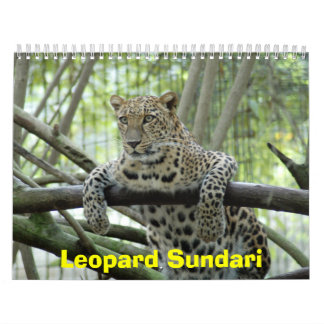 LeopardSundari_008, Leopard Sundari Calendar