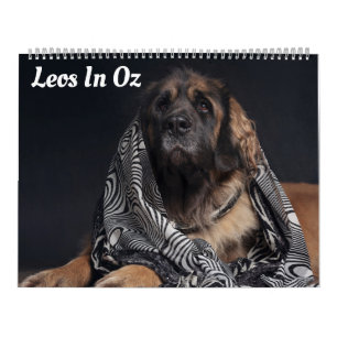 Leos In Oz Calendar