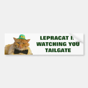 Leprechaun Cat Is Watching You Tailgate Bumper Sticker