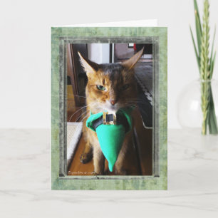 Leprechaun Cat St. Patrick's Day Greeting Card