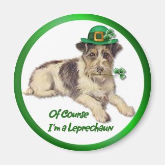 Leprechaun Dog Magnet