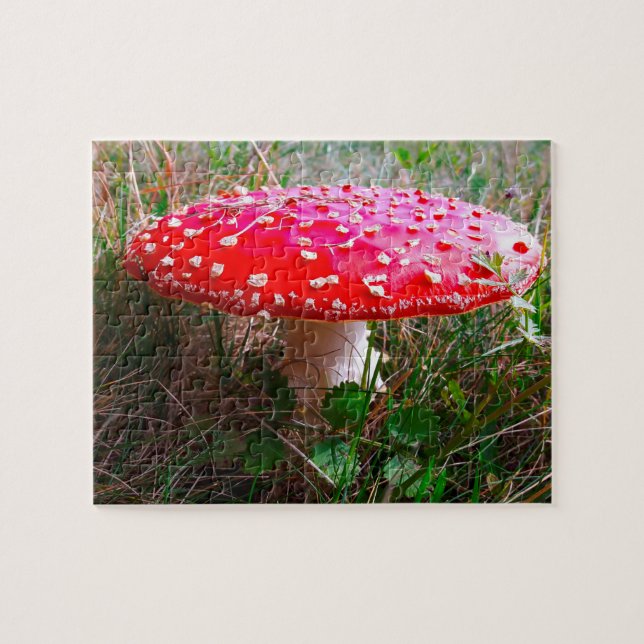 Leprechauns where the little people Live Ireland Jigsaw Puzzle (Horizontal)